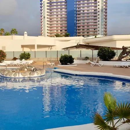Tajinaste Azul - Paraiso Sur *