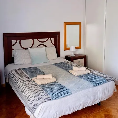 Tajinaste Azul - Paraiso Sur *